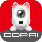 盯盯拍官方下载