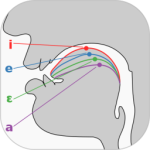 英语国际音标学习安卓版下载